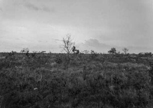 Tafelland : Blick über das Tafelland in Brasilien. Im Hintergrund tobt ein Gewitter.