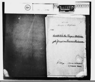 . Fürstin zu Salm ./. Kurfürstentum Trier Vormundschaft der Kinder der Marquise von Westerloo: Erbschaft zu Nassau-Hadamar: Band 1