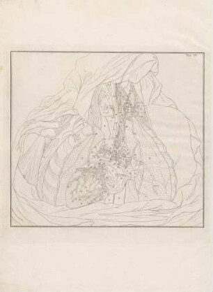 Die Nervi Cardiaci auf der linken Seite (Lineartafel)