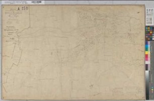 Assinghausen (Olsberg), Separation Assinghausen, Bl.3 Brouillonkarte I Flur 5,2