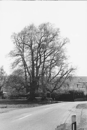 Ehemalige Gerichtsstätte und Bildstock (Gerichtsstätte und Bildstock); Birstein, Kleine Lindenacker (L 3196)