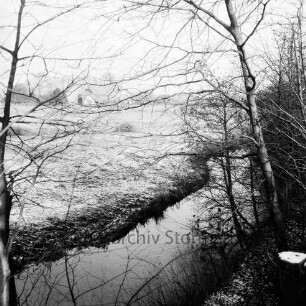 Ehlersberg: Alster: vorn Sträucher und Bäume: dahinter Wiesen: hinten Wald: Winter