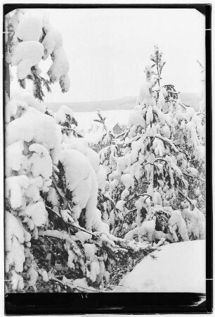 Winter in der Sächsischen Schweiz