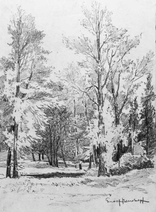 Waldstück : Bernkopf, Georg: Waldstück. Zeichnung, bezeichnet "Georg Bernkopf"