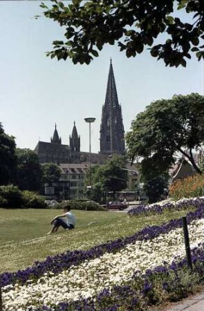 Freiburg i. Br.: Stadtgarten: Blick zum Münster