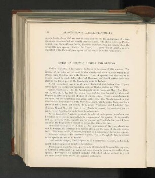 Notes on certain Genera and Species.