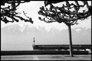 Vevey: Hafen