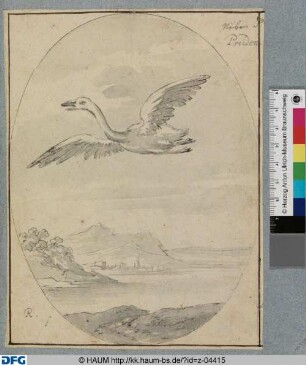Emblem: Fliegender Schwan