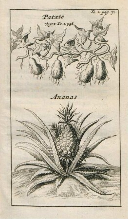 Patate. Ananas