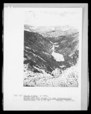 Blick von der Koppe in den Riesengrund