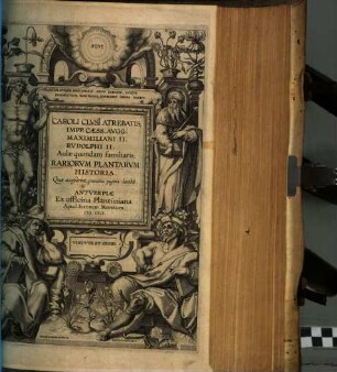 Rariorum plantarum historia