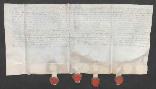 Instrumentum probationis des Grafen Johann Jakob von Eltz-Kempenich .