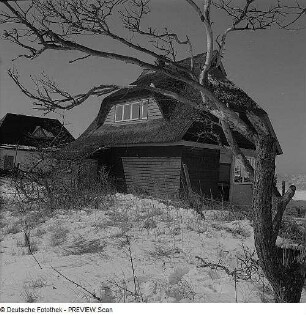 Bei Dierhagen. Haus hinter den Dünen