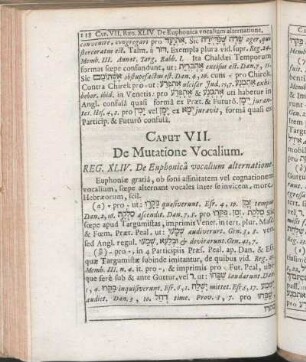 Caput VII. De Mutatione Vocalium.