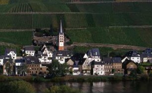 Winzerdorf an der Mittelmosel : Landschaft an der Mosel, aufgenommen 2001