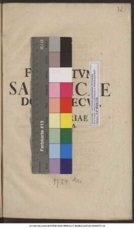 Fvneratvm Saxonicae Domvs Decvs, Et Spes Patriae Afflicta