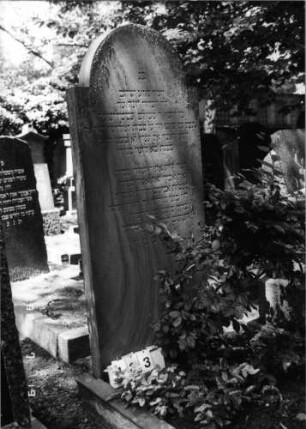 Grabstein 183 (Index: 100094346) Material: Sandstein Zustand: unten abgeblättert Maße HxBxT: 189x75x10 cm Beschreibung: Stele, eingezogener Rundbogenabschluß Besonderheit: gereimter 6-Zeiler: Grabstein 183