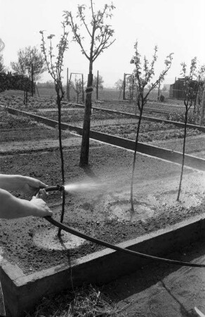 Künstliche Wässerung der Schrebergärten wegen ungewöhnlicher Trockenheit im April.