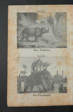 Tafel 31.-32.: Das Nashorn. Der Elephant.