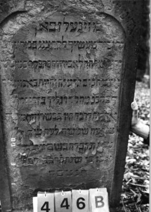 Grabstein 446 (Index: 99752801) Material: Sandstein Zustand: stark abgeblätt. /verwitt. m. Textverlust Maße HxBxT: 133x60x16 cm Beschreibung: Stele, giebelart. Abschl. mit Verdach., Schriftfeld eingetieft m. Kleeblattbogenabsch: Grabstein 446B