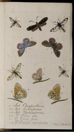 [Fig. 1. bis Fig. 10.]