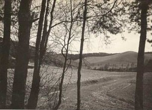 Niederlausitz. Moränen bei Großkmehlen