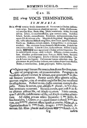 CAP. II. DE שילח VOCIS TERMINATIONE.