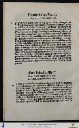 X. Vom bysitz des Vatters inn syner kynd geerbtem gut.