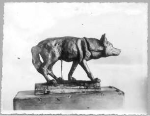 Türkischer Wolf. Tonmodell (1934/1940; E. Richter). Dresden-Südvorstadt, Eisenstuckstraße, Atelier der Bildhauerin