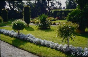 Potsdam, Neuer Garten, Sommerbepflanzung im Blumengarten vor der Orangerie.