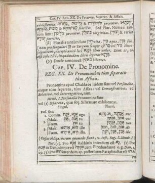 Cap. IV. De Pronomine.