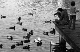 Fotografieren im Stadtgarten
