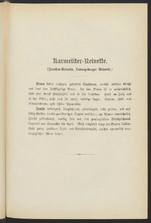 Karmeliter-Reinette. (Forellen-Reinette, Ludwigsburger Reinette.)