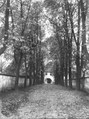 Benndorf. Allee zum Torhaus des Herrenhauses