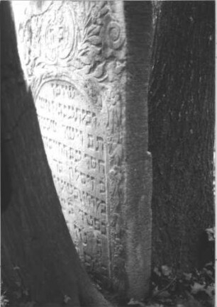 Grabstein 2125 (Detailaufnahme)