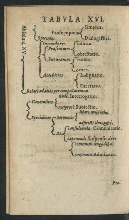 Tabula XVI.