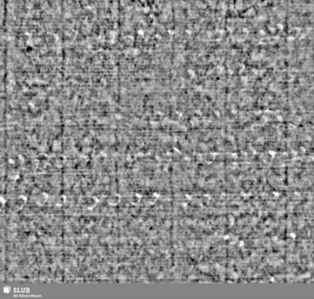 Lilienschild + IESV / LW = S.59/60