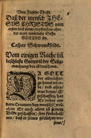 Vom Fleische Christi : Daß der mensch Jhesus Christus vom ersten blick seines empfencknis ahn, der ware natürliche Sohn Gottes sey ...