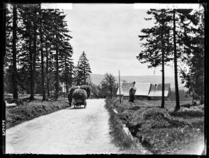 Vor Gr.-Iser