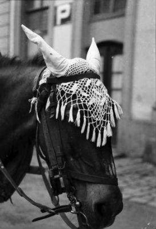 Rappoltsweiler, Ribeauvillé: Pferd mit Spitzenhaube