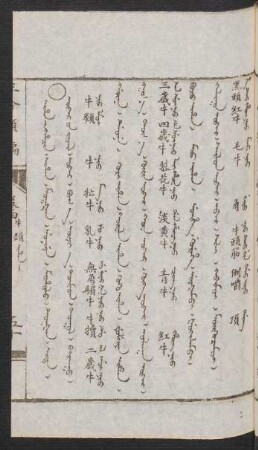 Ihan i hacin = Üker-ün jüil [Vugar uv jujil] = 牛類