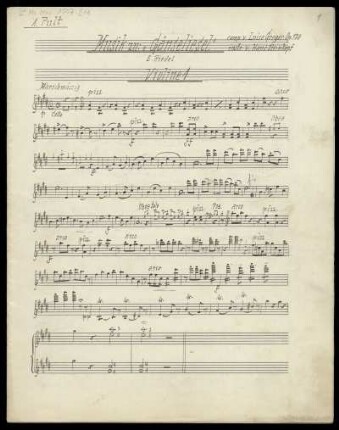 [11. Violine 1 (1. Pult)