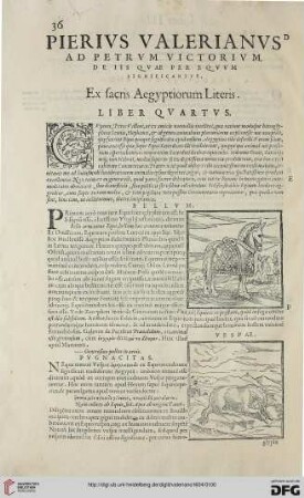Liber qvartvs