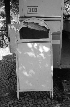 Berlin-Pankow : In Berlin-Pankow, Breite Strasse