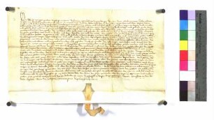 Adolf Bischof zu Speyer bestellt Kraft von Hohenlohe zu einem Amtmann über das Stift gegen eine jährliche Abfindung; Pergament; Siegel fehlt.