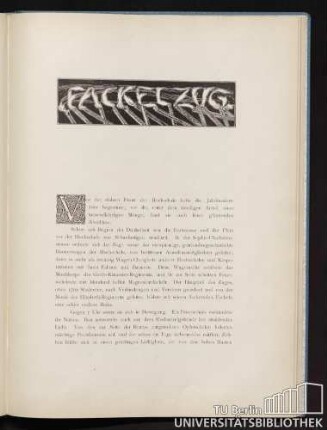 Fackelzug