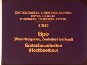 Eipo (West-Neuguinea, Zentrales Hochland) - Gartenbauarbeiten (Hochbeetbau)