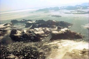 Kulusuk: Flug über die Küstenfjorde und Gletscher, Küstenlandschaft von oben