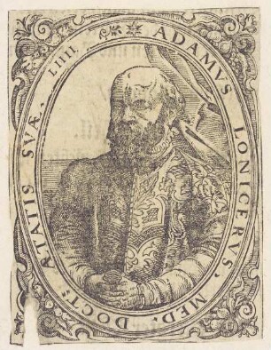 Bildnis des Adam Lonicer