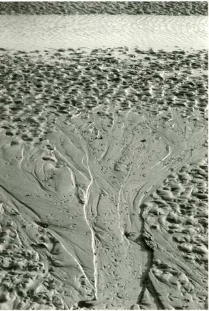 Muster und Strukturen im Sand (Muster und Strukturen 1959/1971)